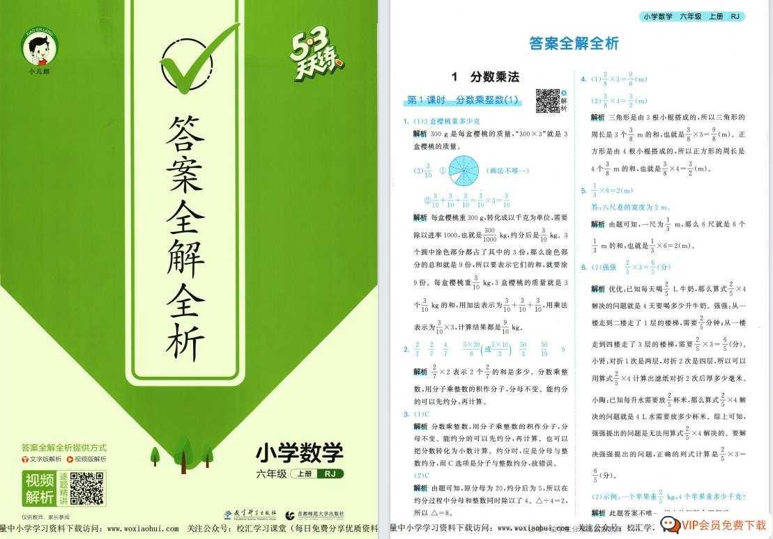 2023秋《53 天天练-参考答案》数学RJ人教版版 六年级上册 1份pdf电子版百度网盘下载