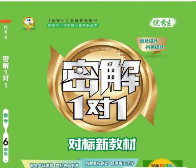【202页PDF文件】23年新版：六年级下册《密解1对1》人教版数学辅导学习资料百度云网盘下载