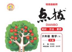打印版《典中点点拨全解》人教版数学6年级下册【296页PDF文档】百度网盘下载