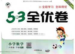 53全优卷六年级下册，人教版数学完整版，55页PDF电子版文档，53天天练百度网盘下载