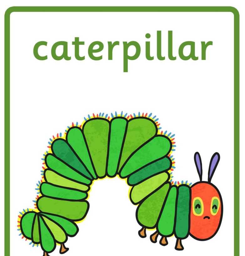 【早教幼小学前英语绘本】好饿好饿的毛毛虫英文绘本扩展（第一期和第二期），含单词卡认知卡，百度网盘下载