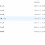 8幼小衔接幼升小暑假学习资料：国学知识视频（国学动画-春节）-百度网盘下载