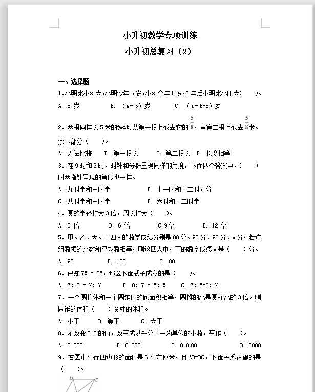 【精品】小升初数学知识专项训练-小升初总复习（2）通用版（22页）（DOC文档22页电子档下载）