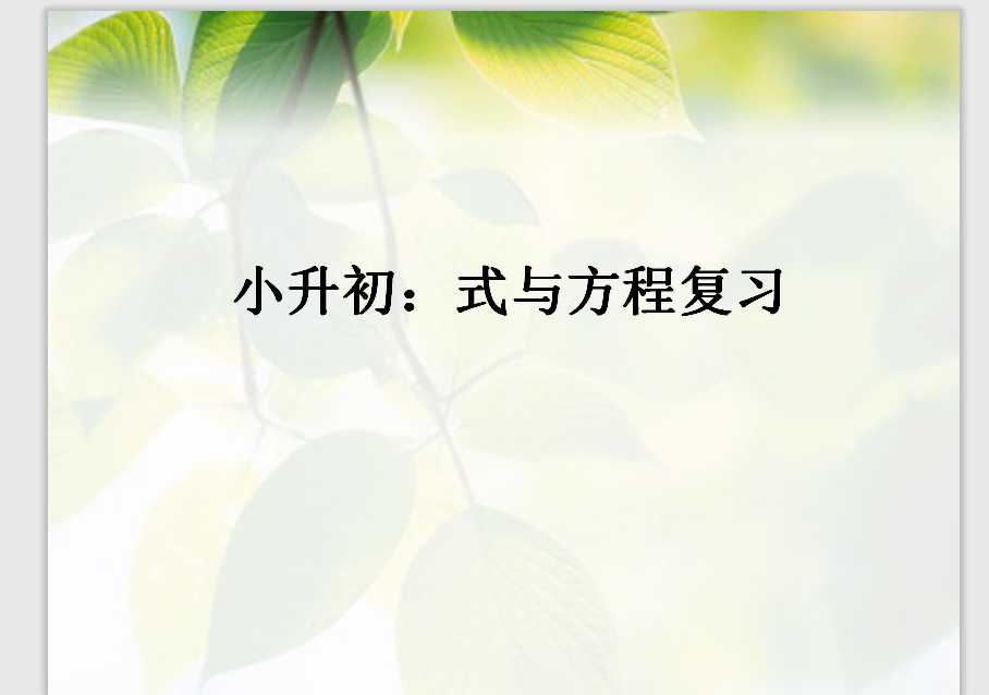 六年级数学小升初《式与方程复习》（PPT文档共22页电子版下载）