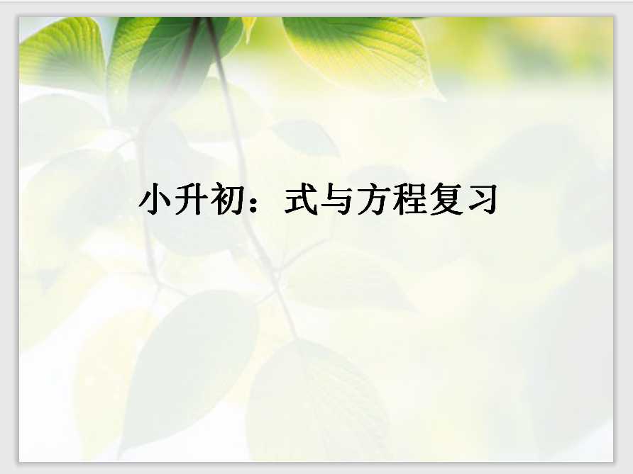 六年级数学小升初《式与方程复习》（PPT文档22页电子档下载）