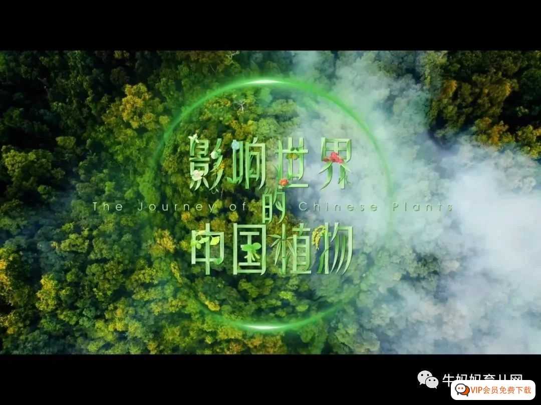 《影响世界的中国植物》纪录片，百度网盘下载 开播就是这么养眼！