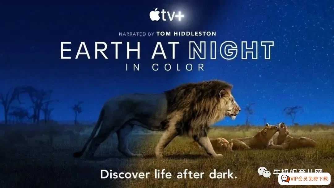 豆瓣评分9.2！抖森配音的最新纪录片《夜色中的地球》（1+2季）百度网盘下载