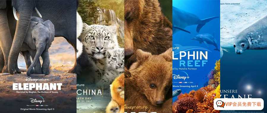 最强动物类纪录片合集《13部迪士尼自然纪录片》高清视频+配套学习手册！百度网盘打包下载