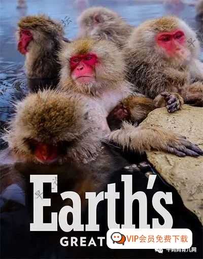 BBC英语纪录片《地球壮观的季节 EARTH’S GREAT SEASONS》英文中字，百度网盘