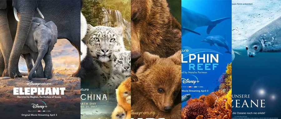 暑假寒假必看纪录片清单 《13部迪士尼自然纪录片》高清视频+配套学习手册！百度网盘下载