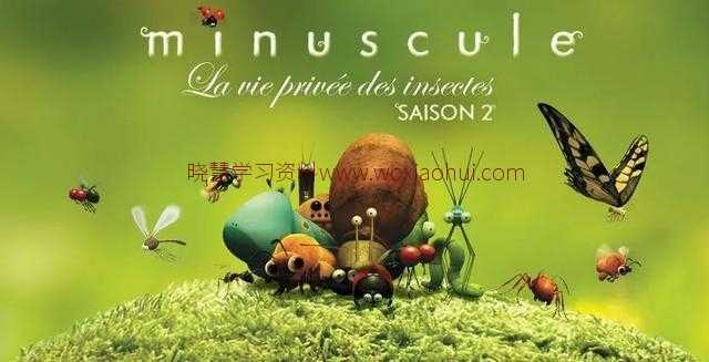 《微观小世界》纪录片百度网盘下载｜一定要让孩子看到这部动画片纪录片，实在太有趣了！