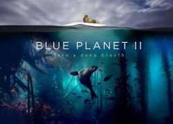 BBC纪录片 《蓝色星球》第 1+2 季【英语版】全15集 1080P 百度网盘下载在线观看地址