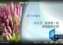 BBC纪录片下载.《探索植物王国》纪录片资源 1080P 共4集 百度网盘下载
