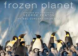 BBC不可错过的9.7分纪录片—《冰冻星球》共9集720P 单集2G 百度网盘下载