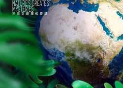 纪录片学英语资源推荐 《秘境星球》英语纪录片【5集 英语 双语字幕 1080P 4.5G MP4】百度网盘下载
