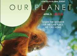 Netflix英文记录片学英语资源 《 我们的星球》【8集 英语 双语字幕 1080P 7G MP4】百度网盘下载