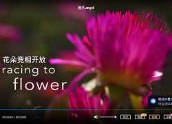 学英语记录片 BBC记录片《地球壮观的季节》【4集 英语 中文字幕 1080P 4G MP4】百度网盘下载