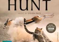 豆瓣9.8分，BBC神级纪录片《猎捕》全七集，大自然的追捕全在这里！（附双语视频） 【7集 英语 中英字幕 1080P 8.5G MP4】百度网盘