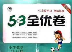 53（五三）全优卷【53页PDF】小学一年级上册数学人教版电子版资料百度网盘下载，《53全优卷一上数学附答案》