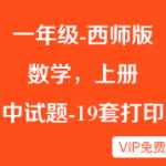 小学一年级（上册上学期）西师版数学各单元试卷·期中检测卷（19套），打印版本
