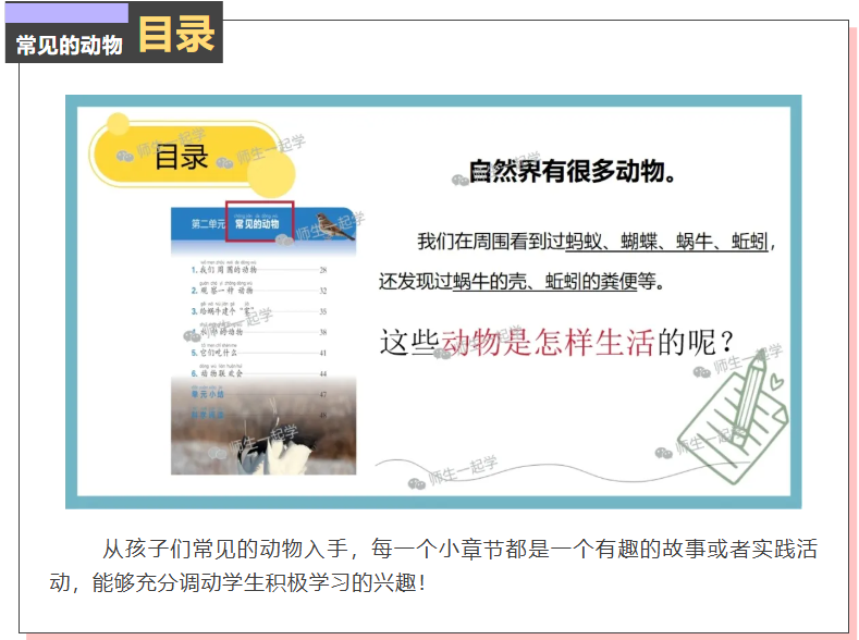 科学一下开学第一课|科学家这样做